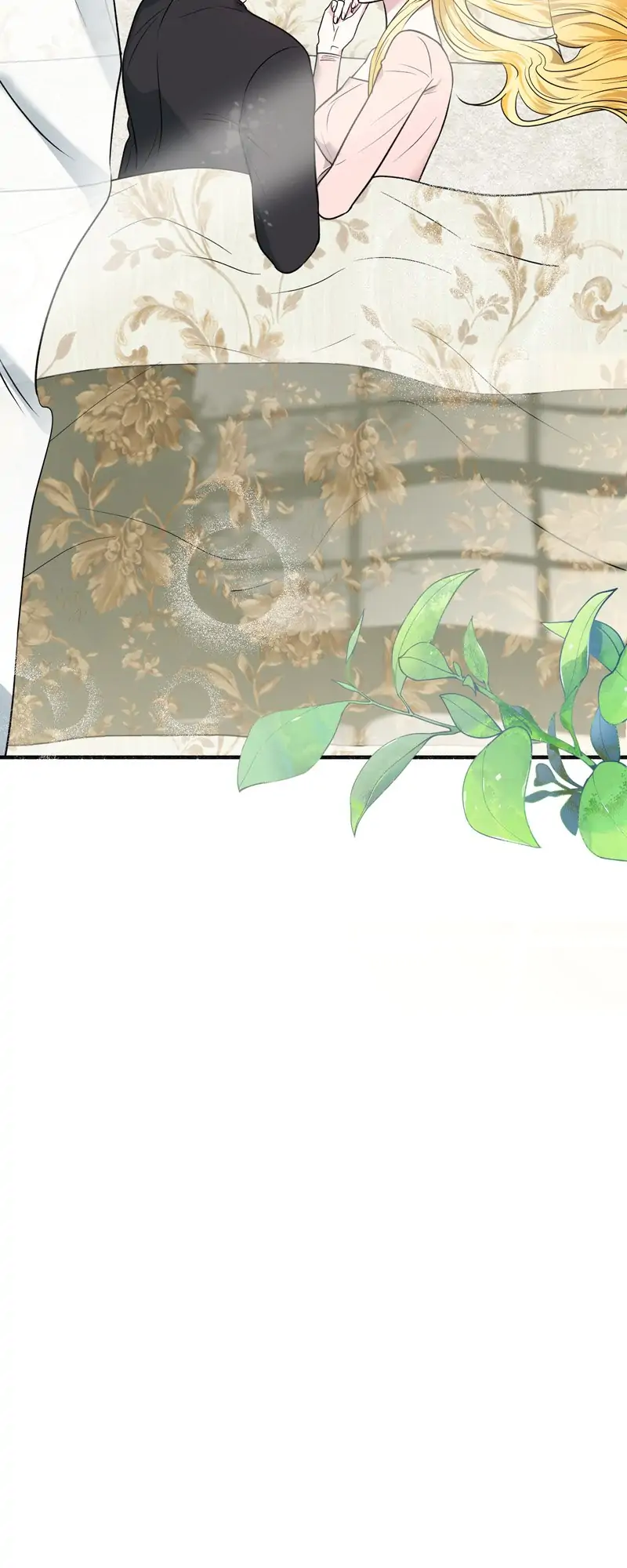 33339428 800 2000 64694