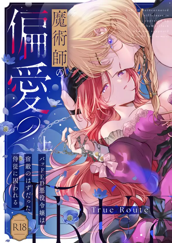 Magician's Prejudice